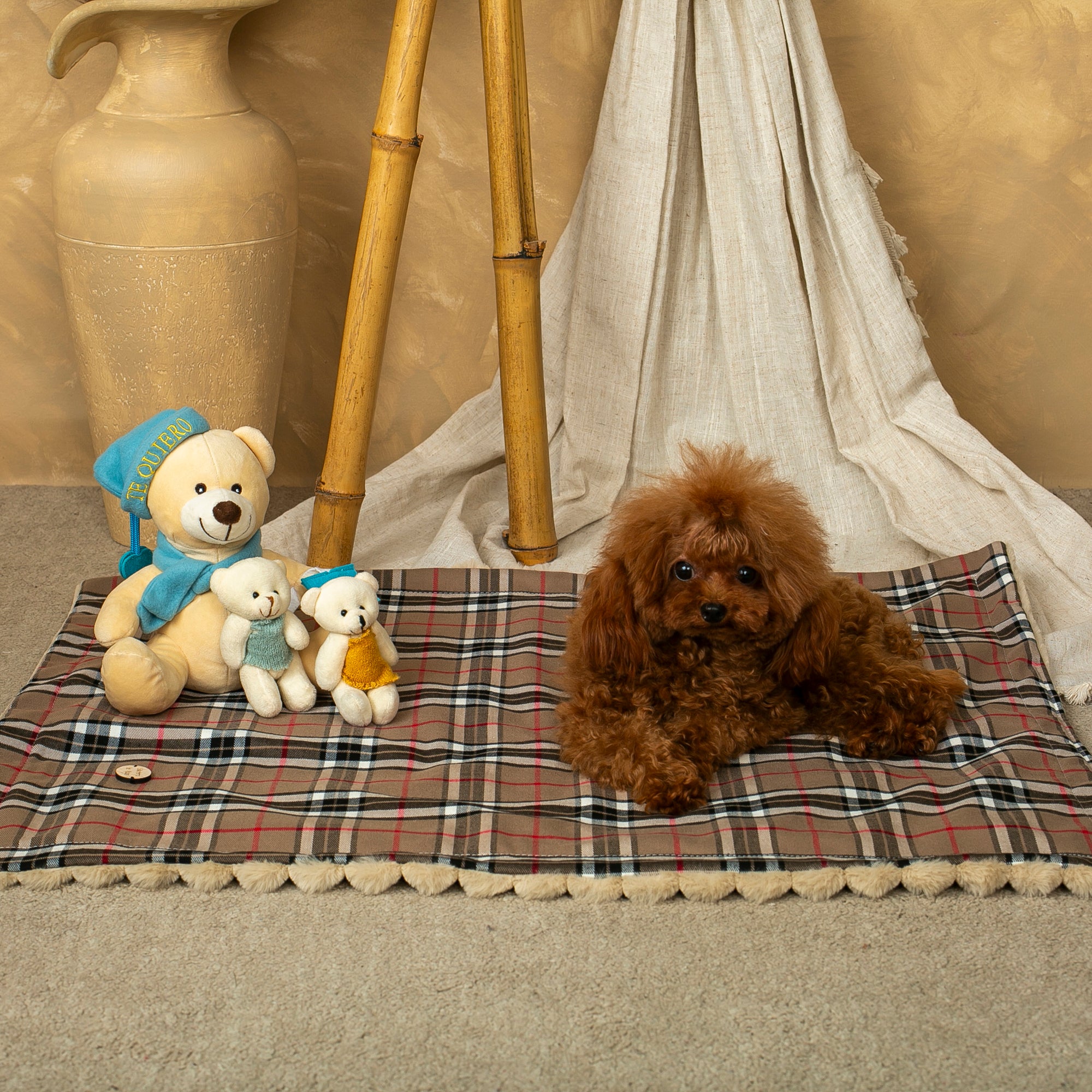 Salvaterra Burberry Approved Dog Car Seat