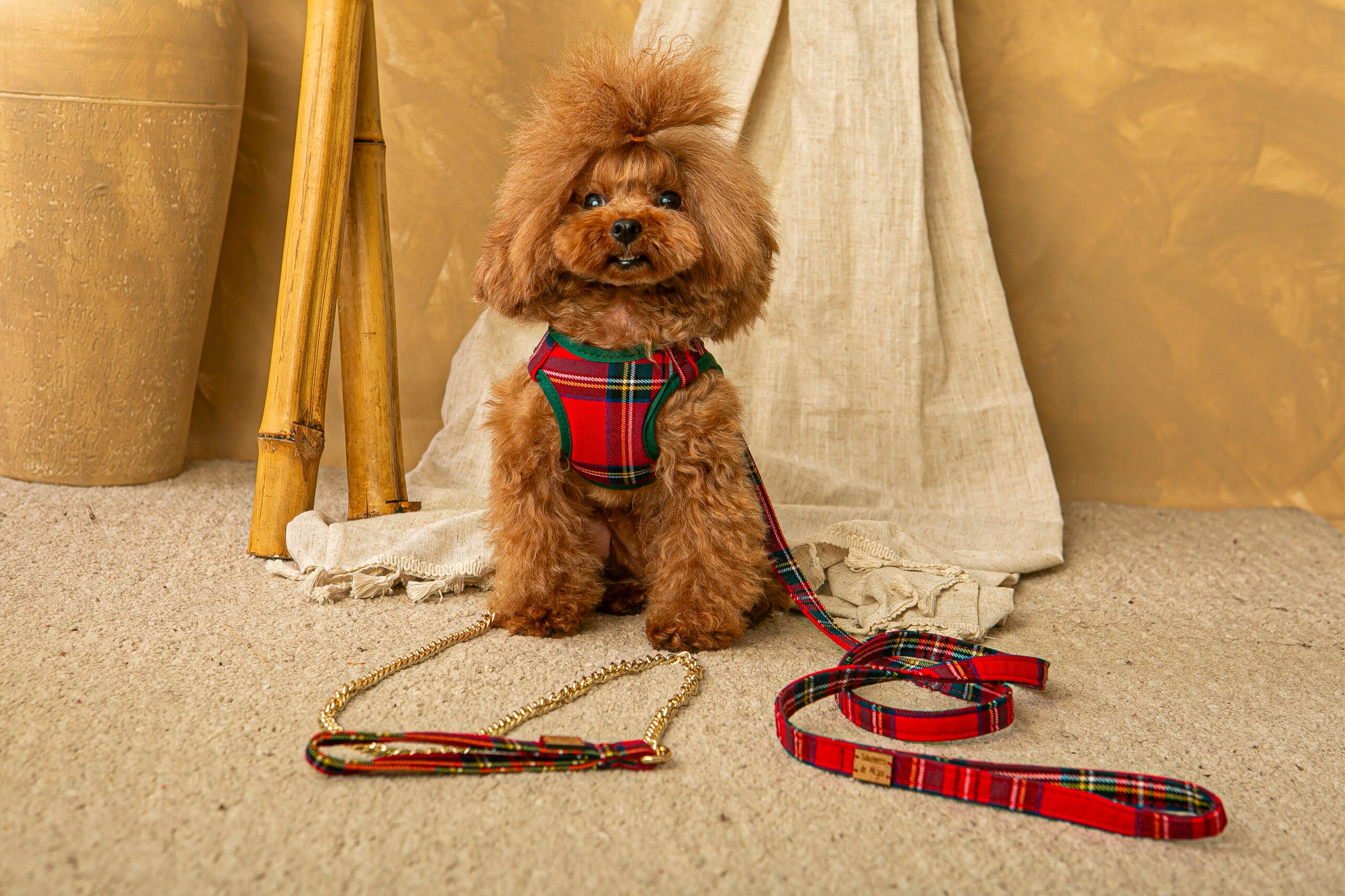 Conjunto Salvaterra de Arnes y Correa Escoces Rojo