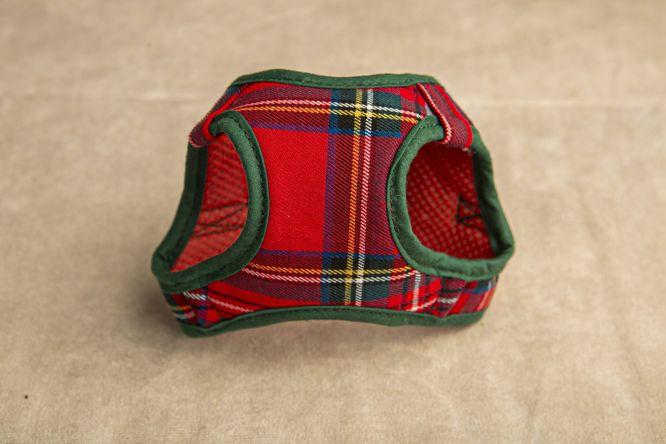 Conjunto Salvaterra de Arnes y Correa Escoces Rojo