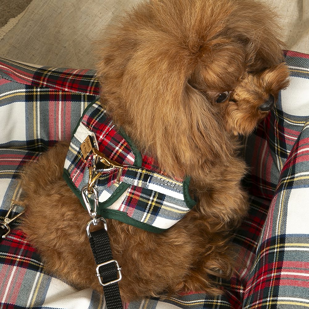 Asiento Perro Coche Salvaterra Escoces Azul Homologado
