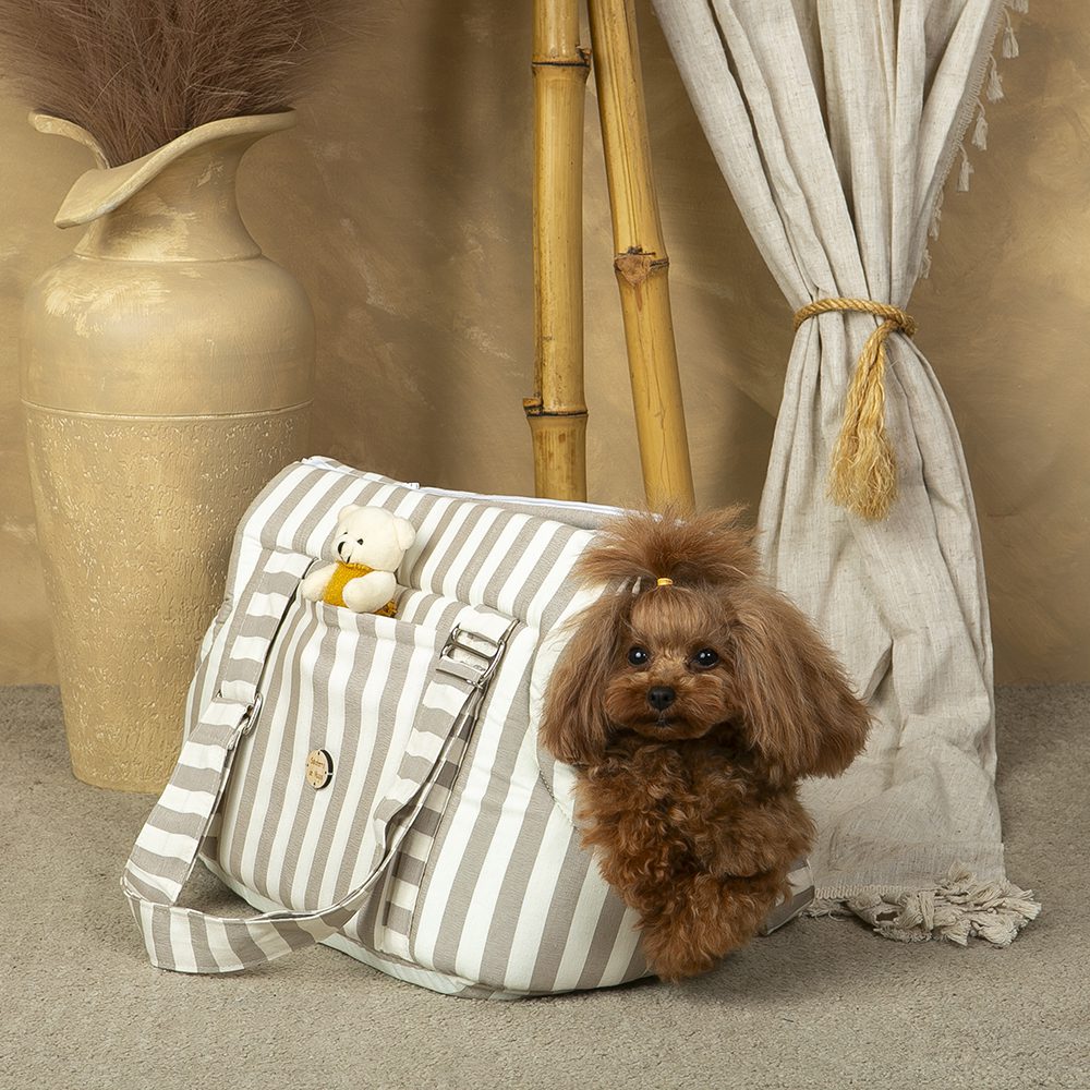 Orvane Beige 2-in-1 Bag from Salvaterra de Magos