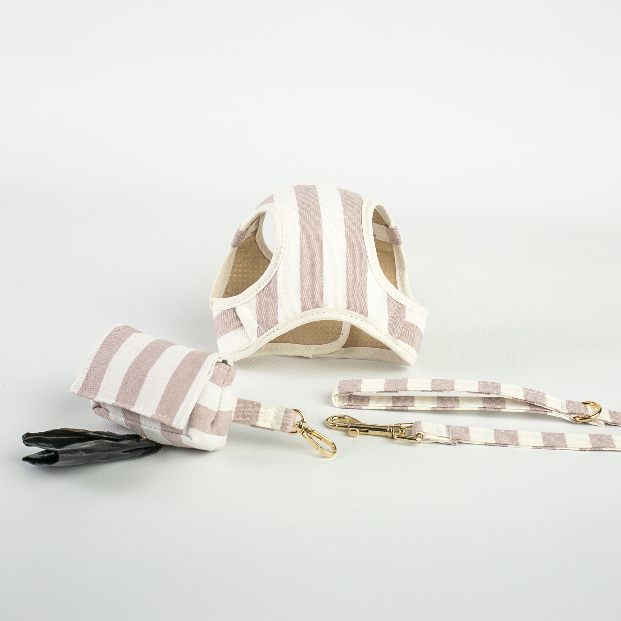 Conjunto Salvaterra de Arnes y Correa Orvane Rosa