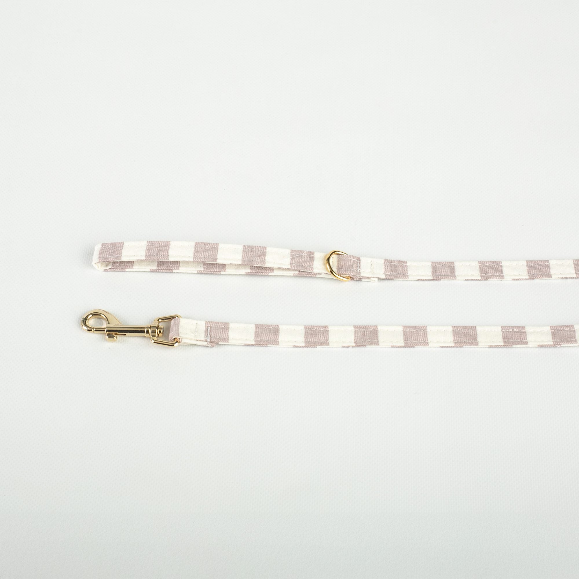 Conjunto Salvaterra de Arnes y Correa Orvane Rosa