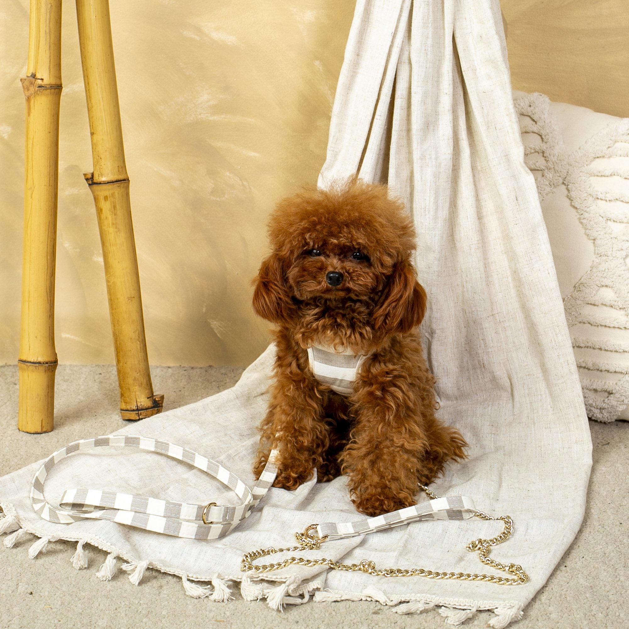 Conjunto Salvaterra de Arnes y Correa Orvane Beige