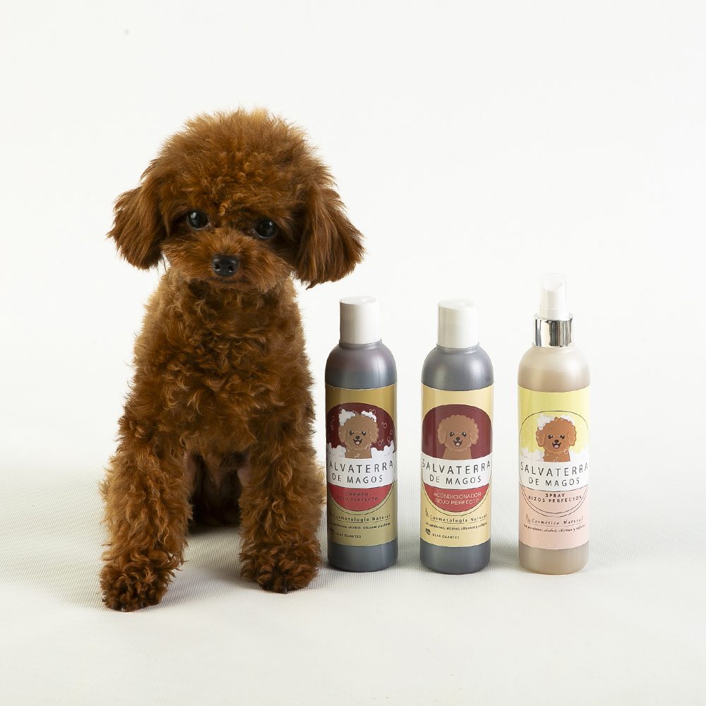 Perfect Red Poodle Shampoo