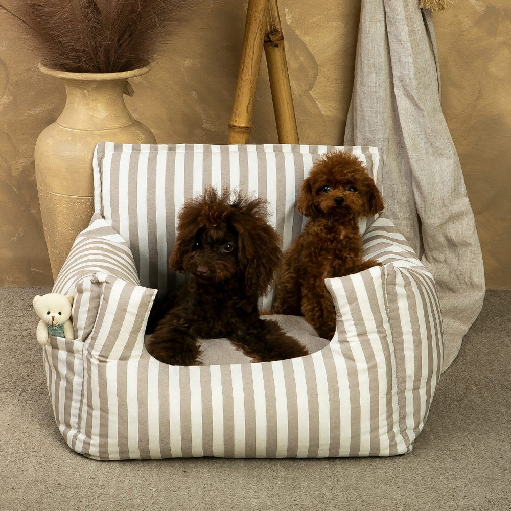 Asiento Perro Coche Salvaterra Orvane Beige Homologado