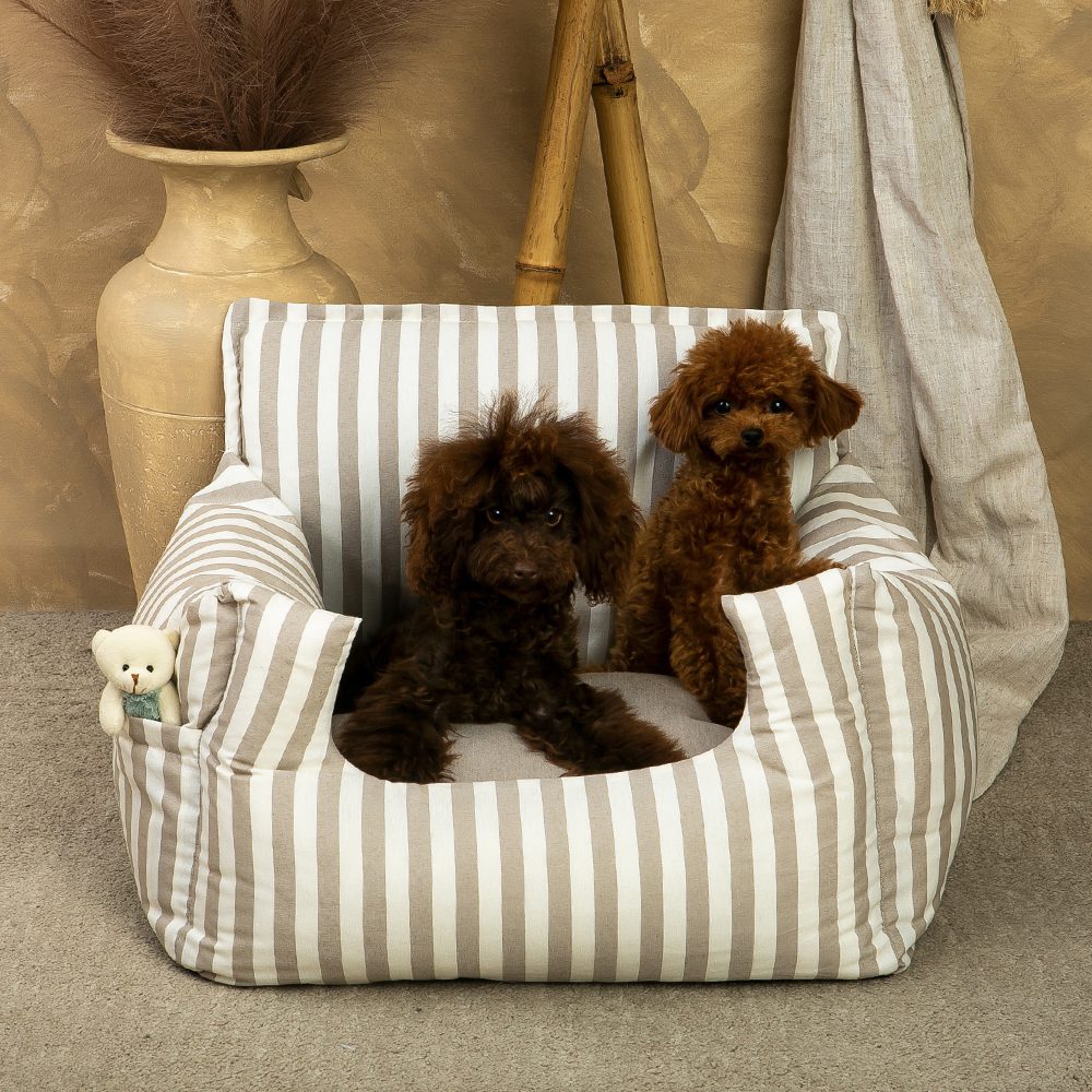 Salvaterra Orvane Beige Approved Car Dog Seat