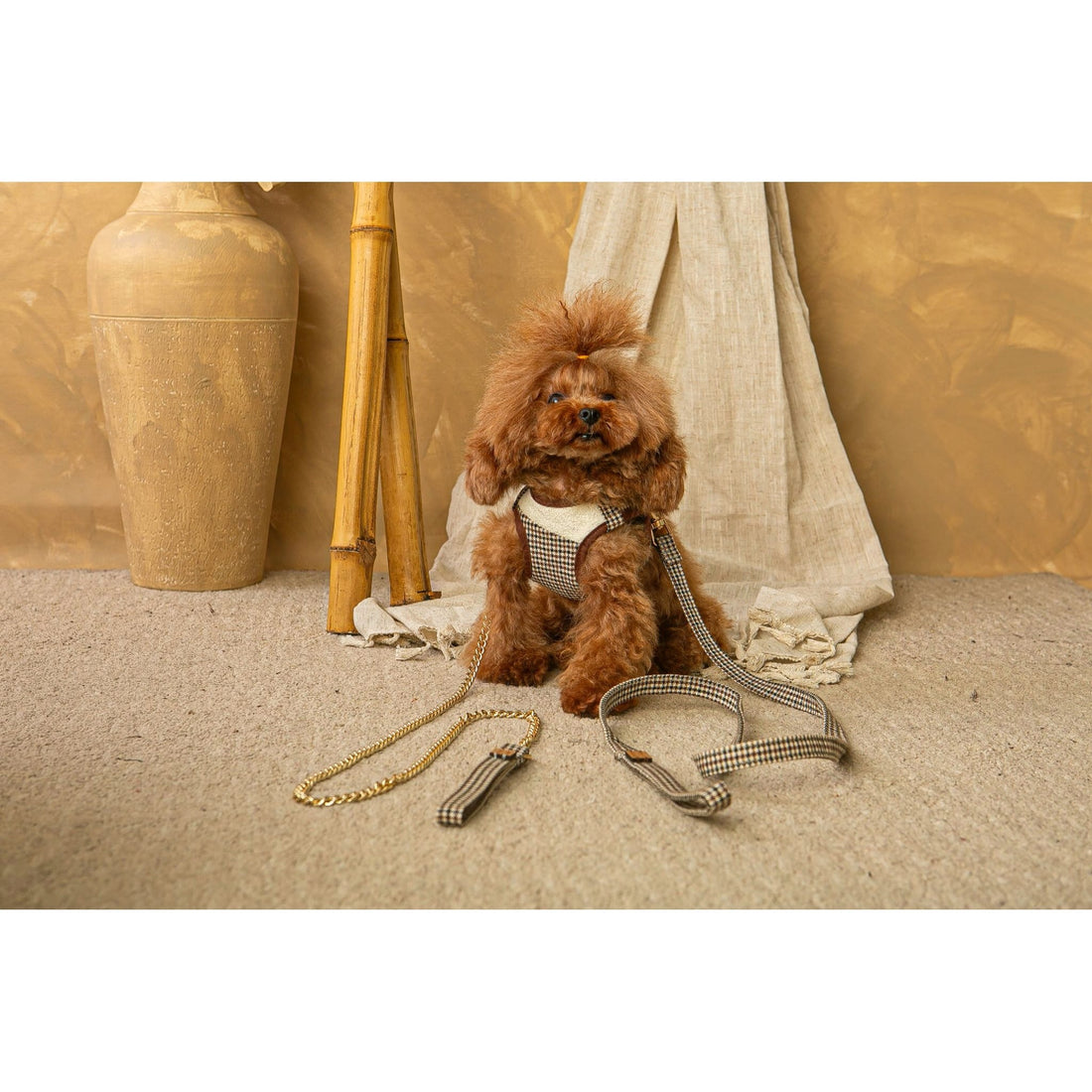 Arnes y Correa Ayzen Marron