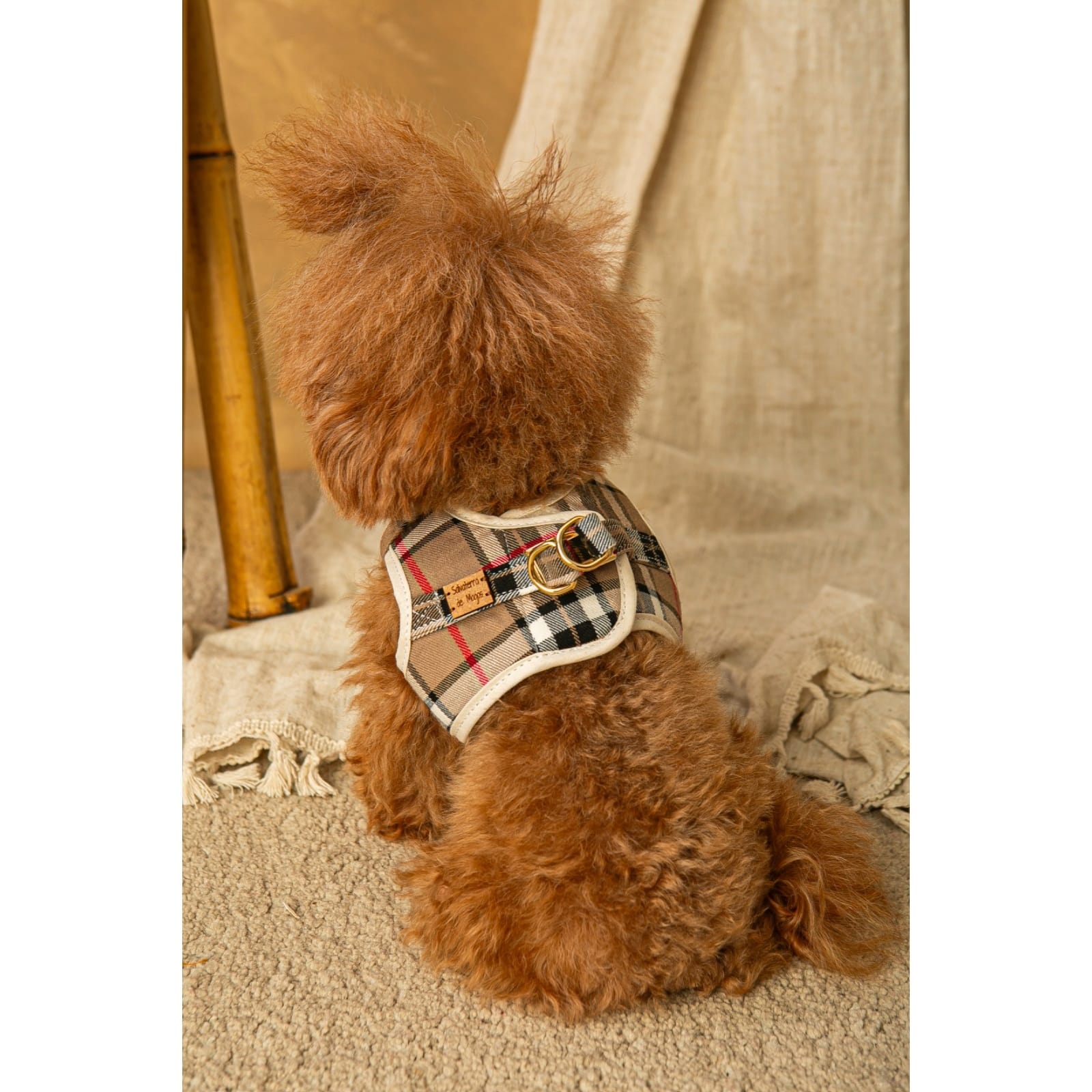 Salvaterra Set of Harness and Leash Burberry Beige