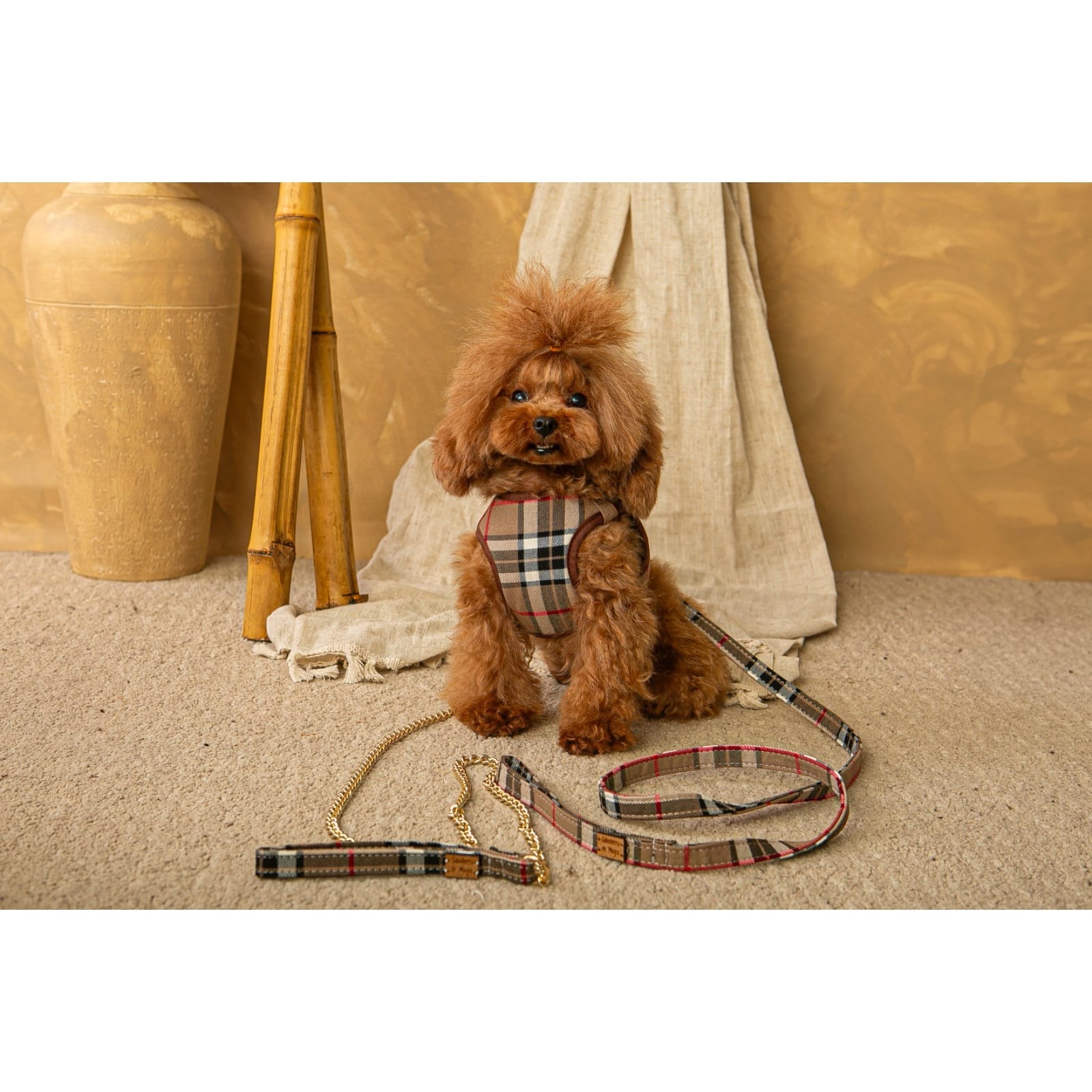 Conjunto Salvaterra  de Arnes y Correa Burberry Marron