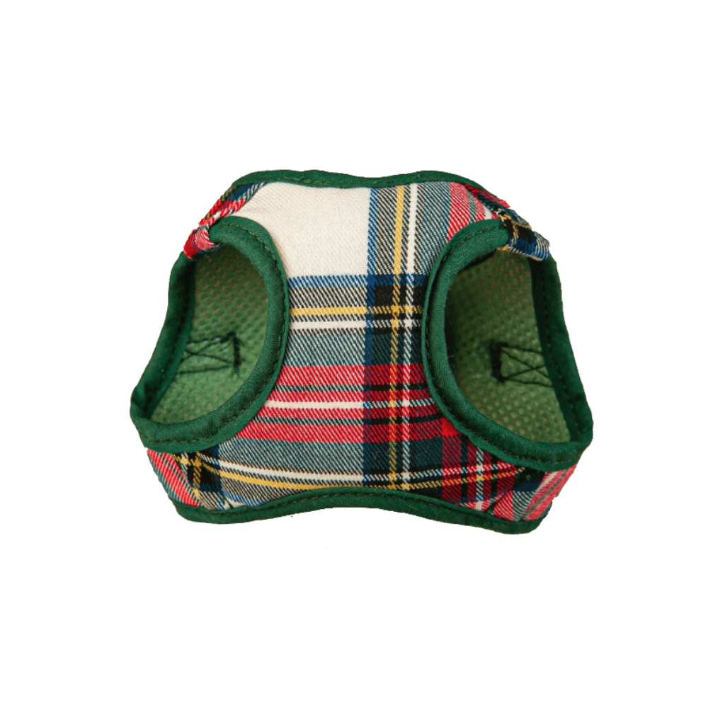 arnes escoces blanco