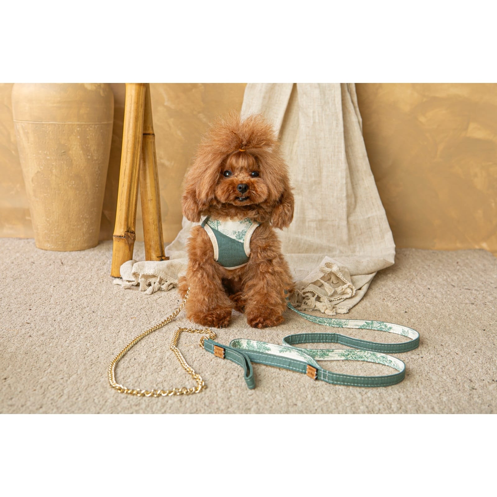 Conjunto Salvaterra de Arnes y Correa Bosque