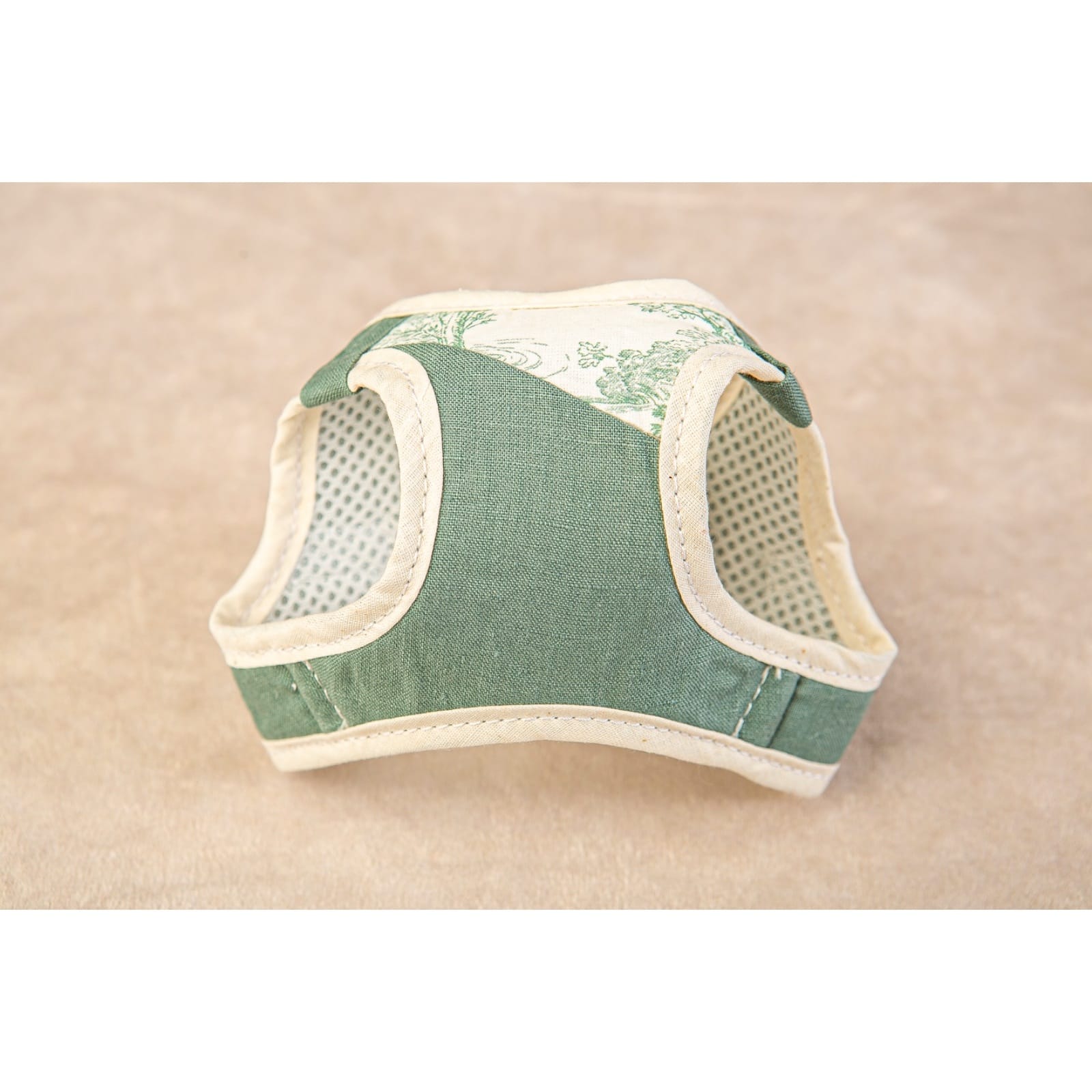 Conjunto Salvaterra de Arnes y Correa Bosque