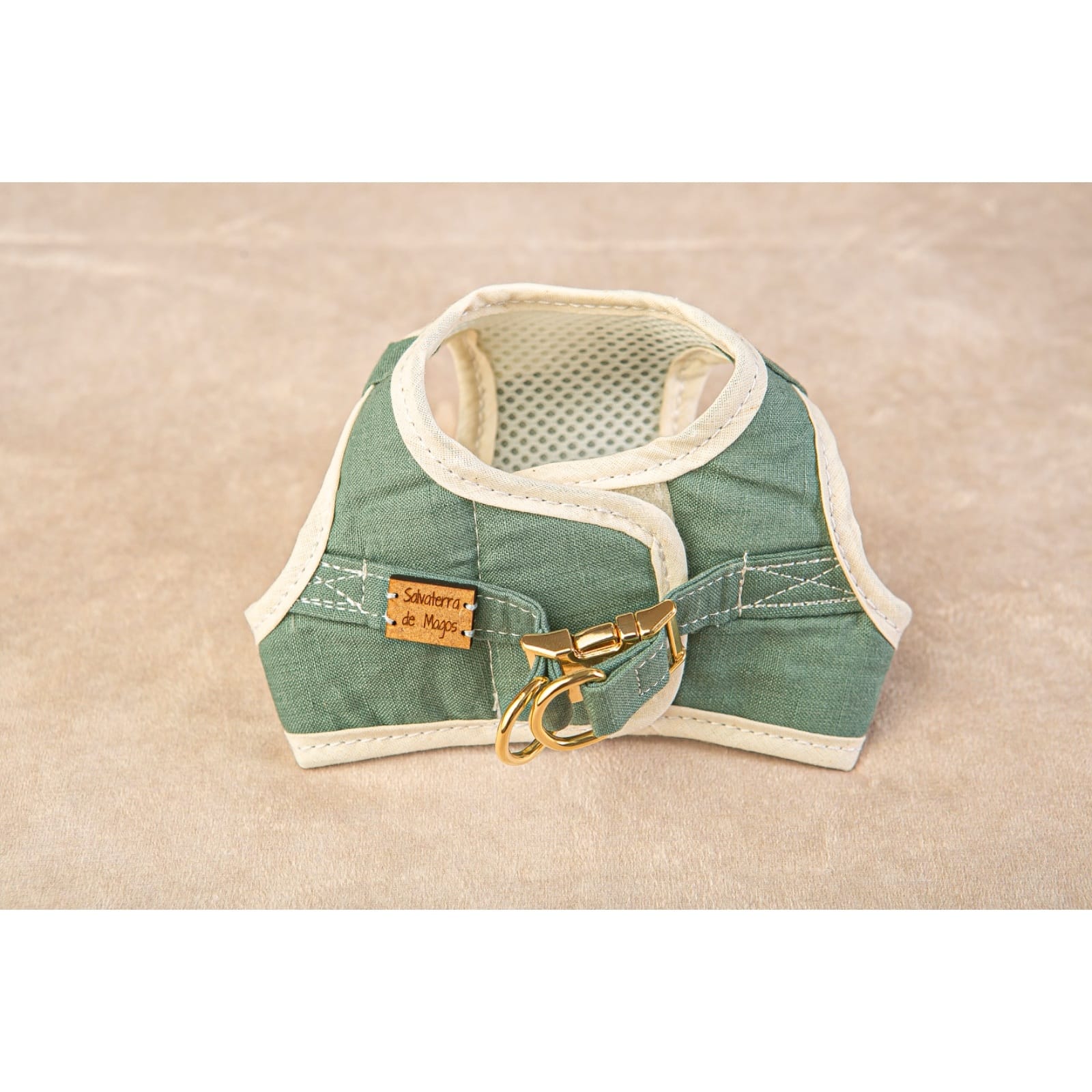 Conjunto Salvaterra de Arnes y Correa Bosque