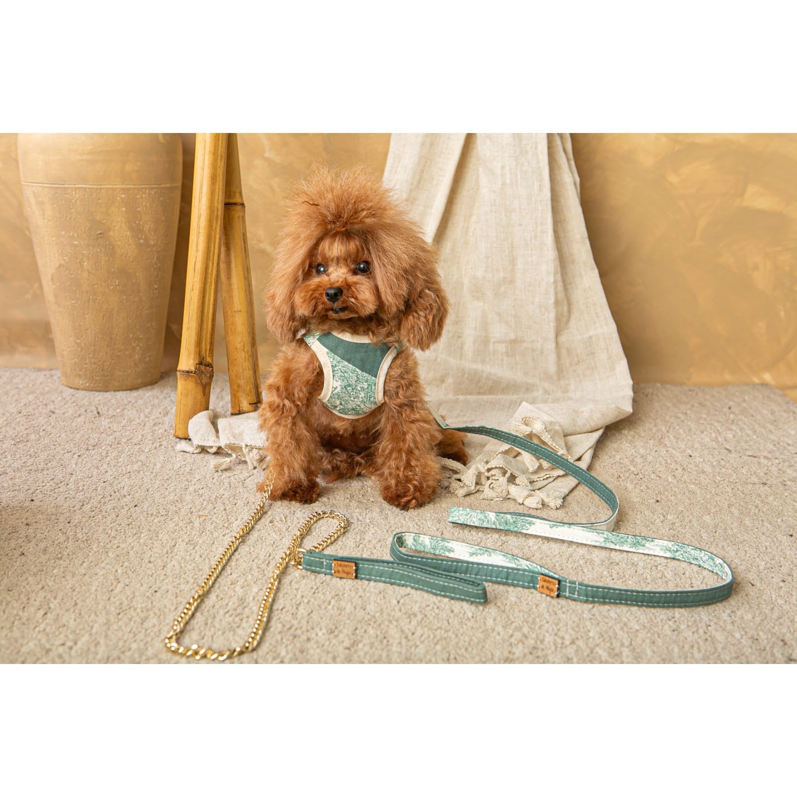 Salvaterra de Arnes Harness and Leash Set