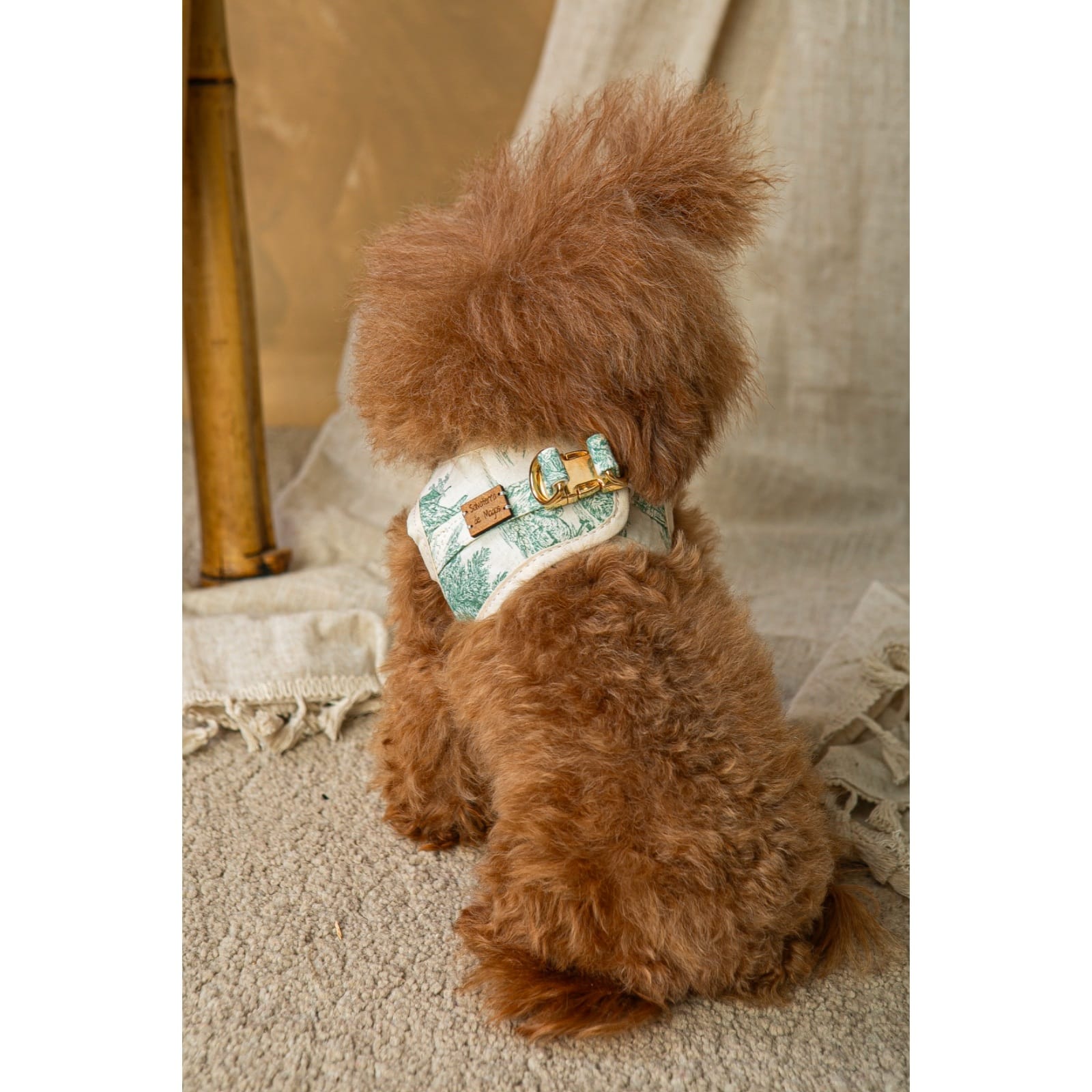 Salvaterra de Arnes Harness and Leash Set