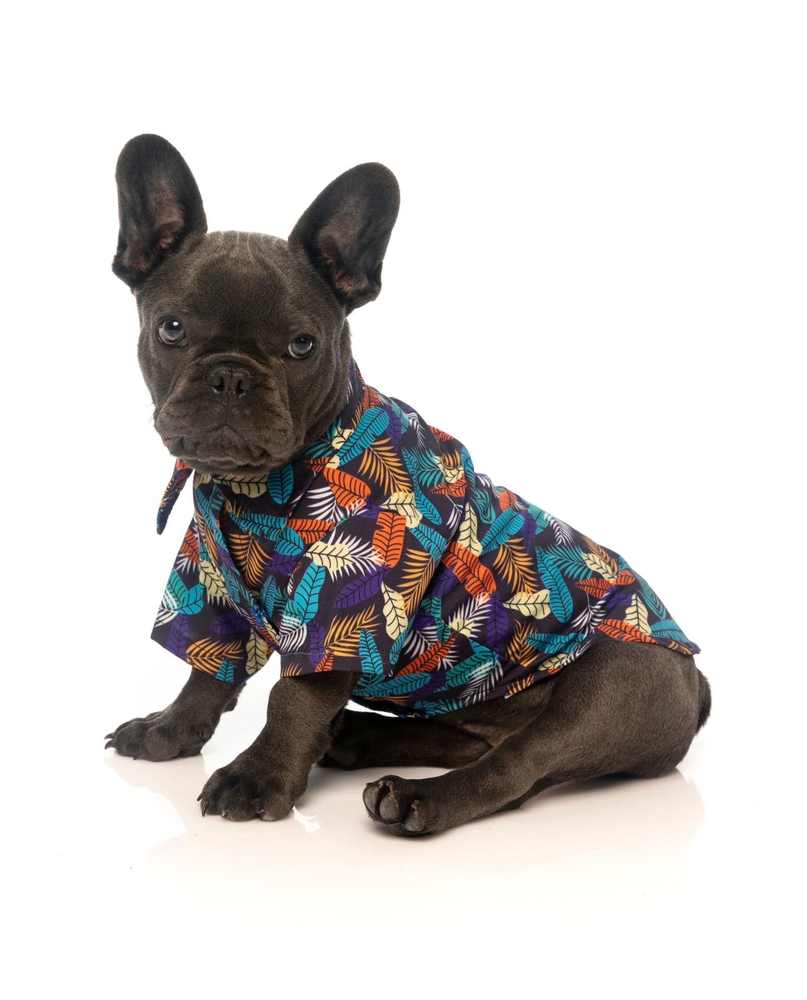 Camiseta Hawaiana Mahalo