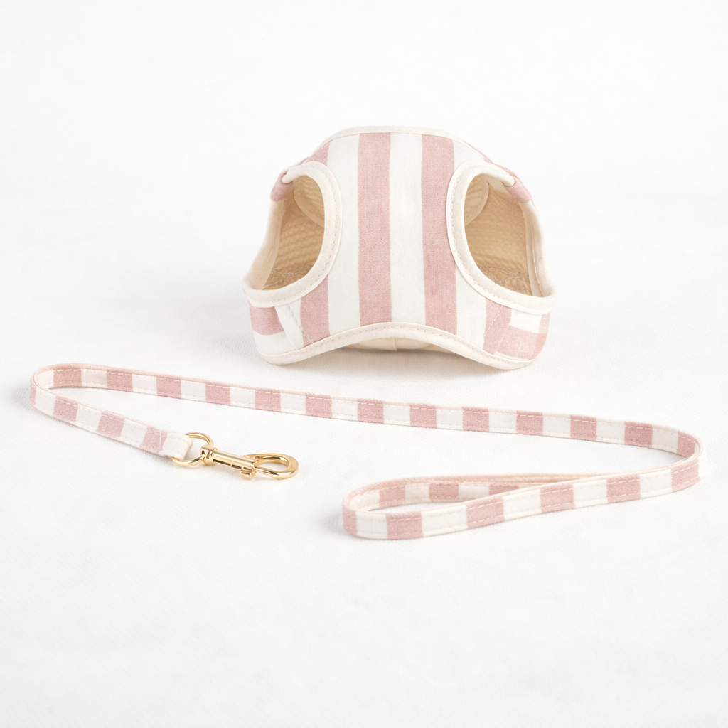 Salvaterra de Arnes Harness and Orvane Beige Leash Set