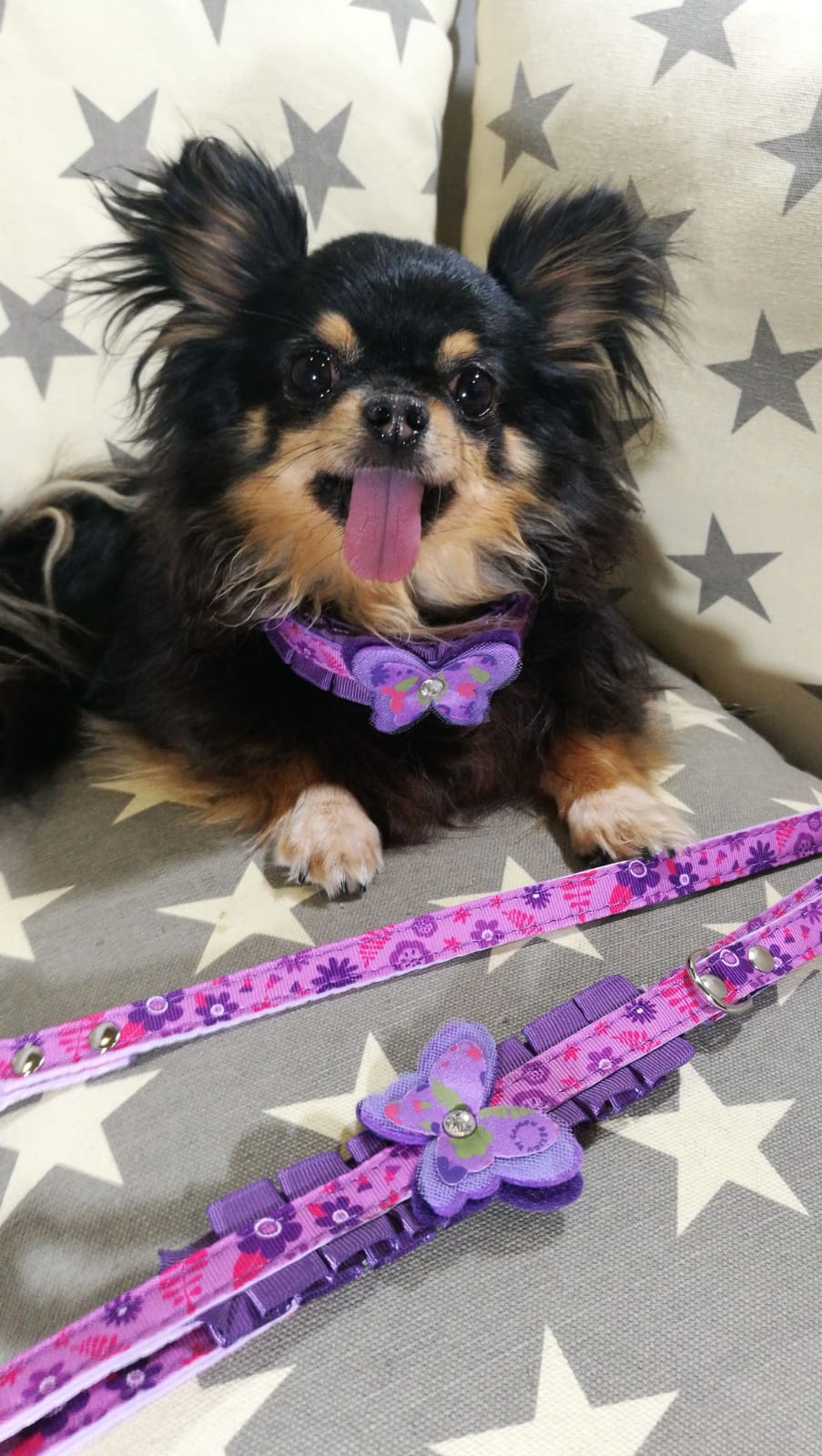 Butterfly Collar and Leash Set