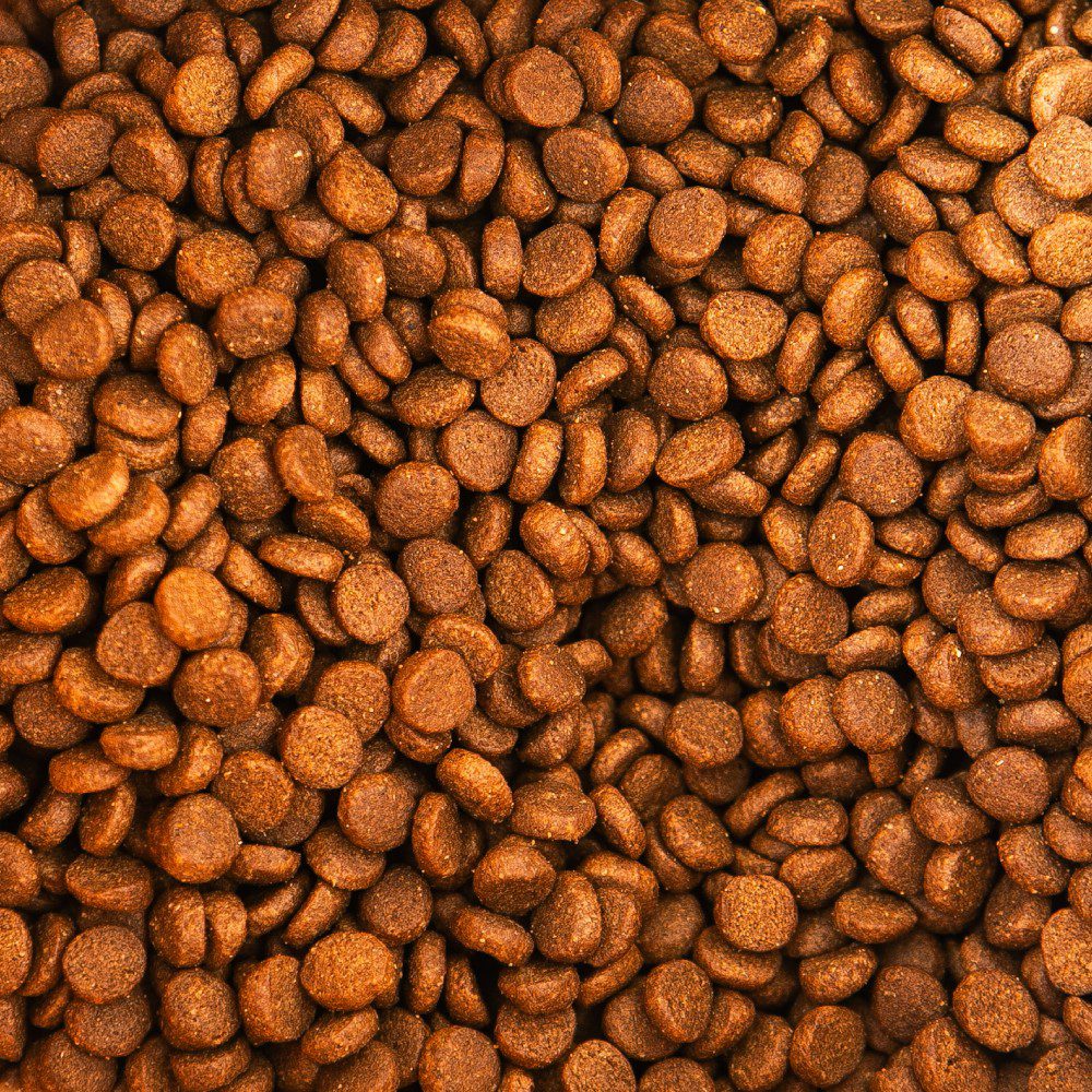 croqueta de pienso salvaterra de magos