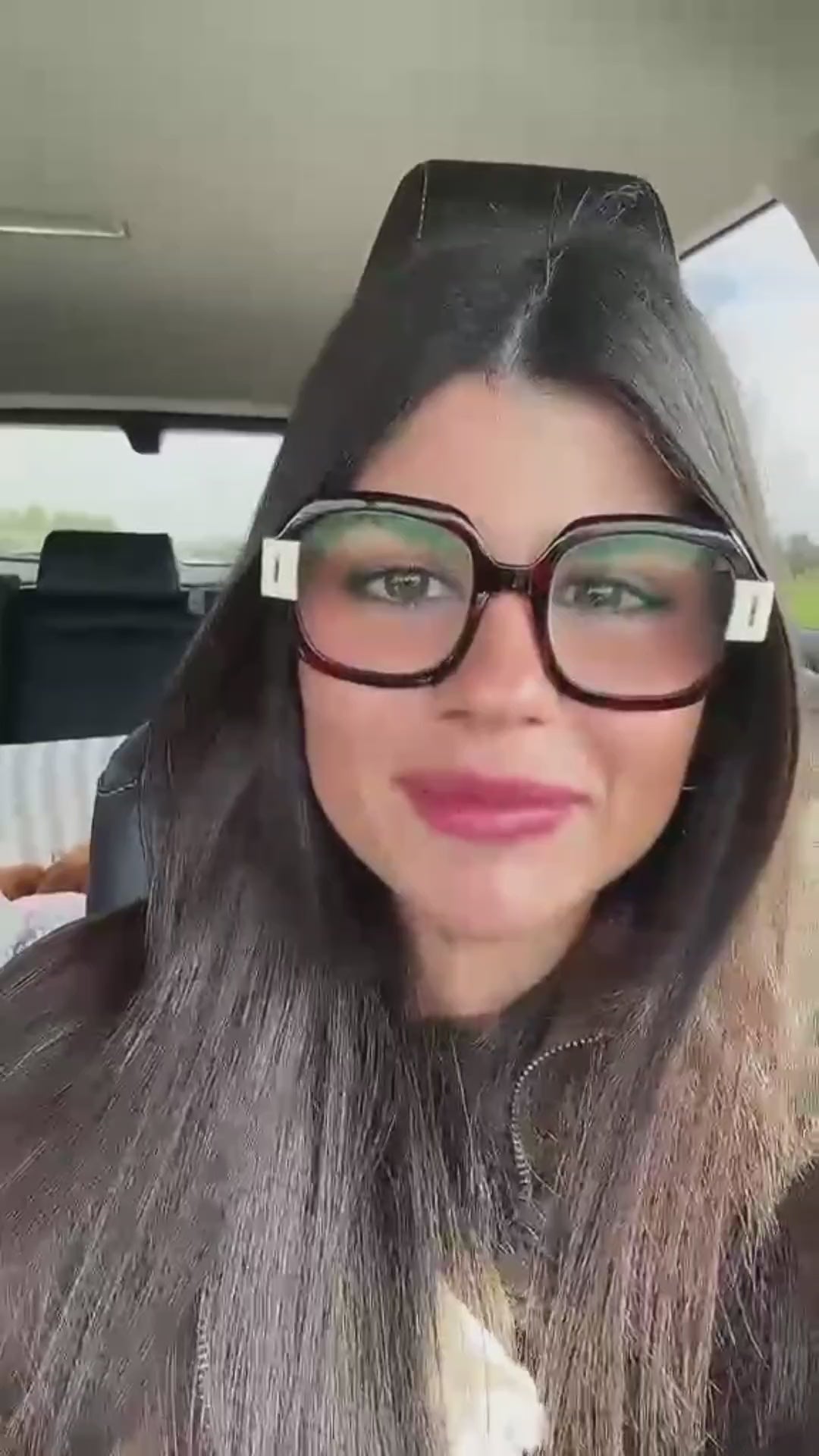 Asiento Perro Coche Salvaterra Escandinavo Homologado