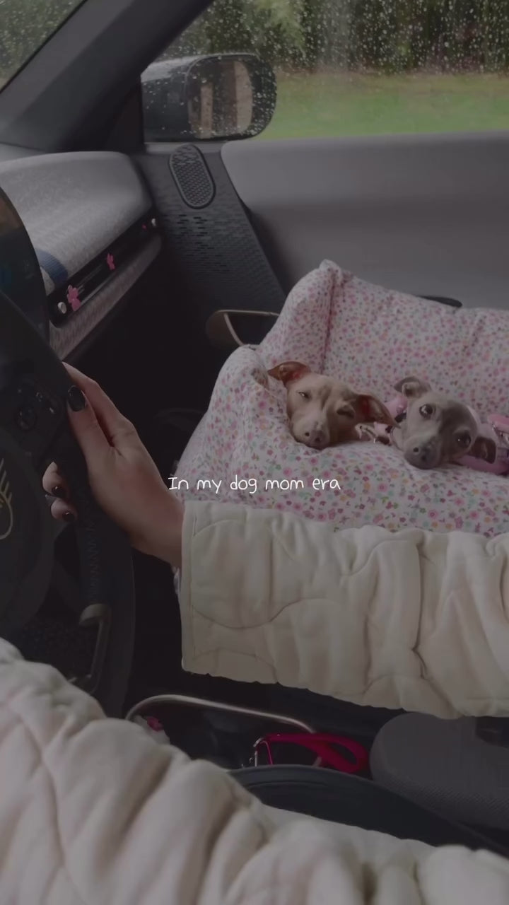 Salvaterra Burberry Approved Dog Car Seat