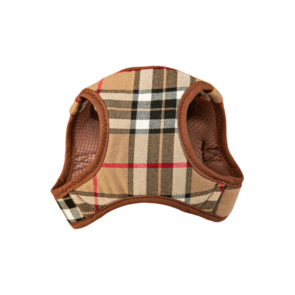 Conjunto Salvaterra  de Arnes y Correa Burberry Marron