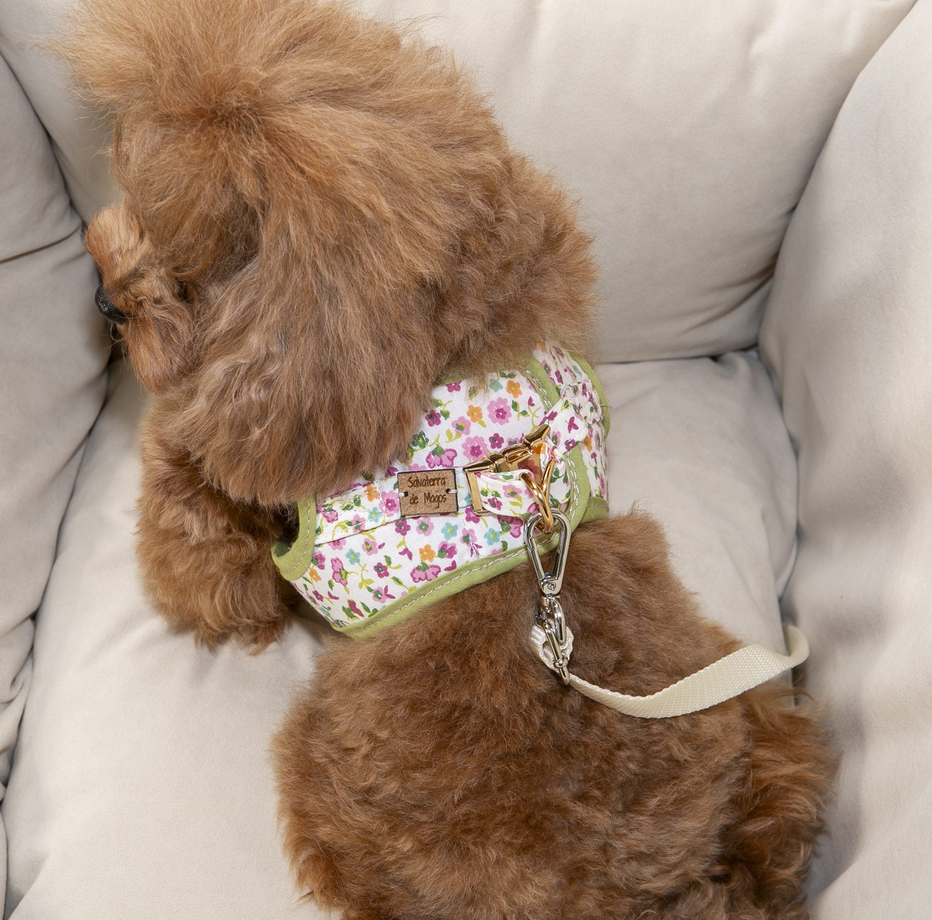 Asiento Perro Coche Salvaterra Escandinavo Homologado