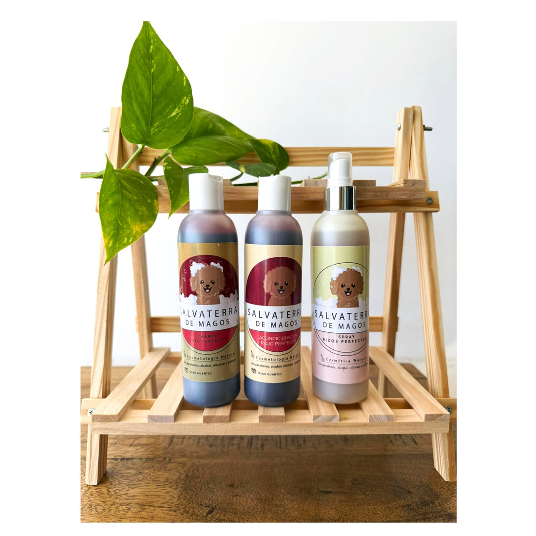 Tratamiento con Pigmentos para Caniche Rojo